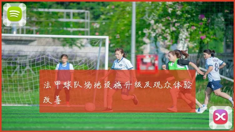 法甲球队场地设施升级及观众体验改善