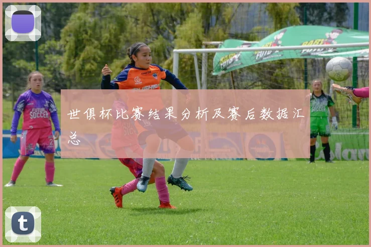 世俱杯比赛结果分析及赛后数据汇总
